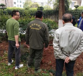 白蟻防治現場