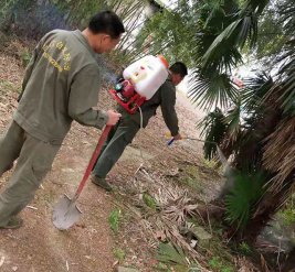 白蟻防治現場